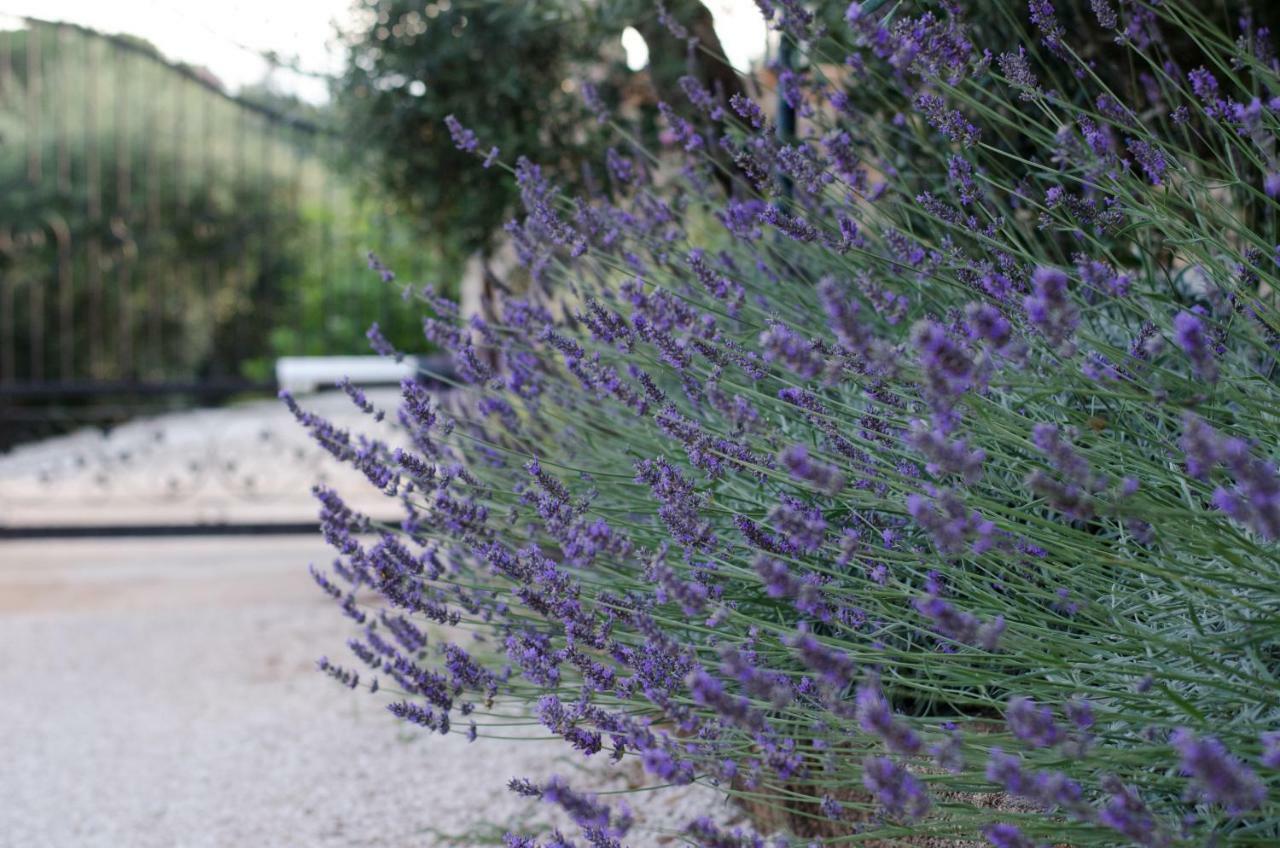 Casale Madeccia Sonnino